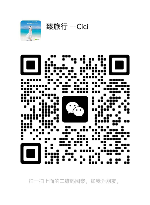 1741676718742018076.png 1741676718742018076.png