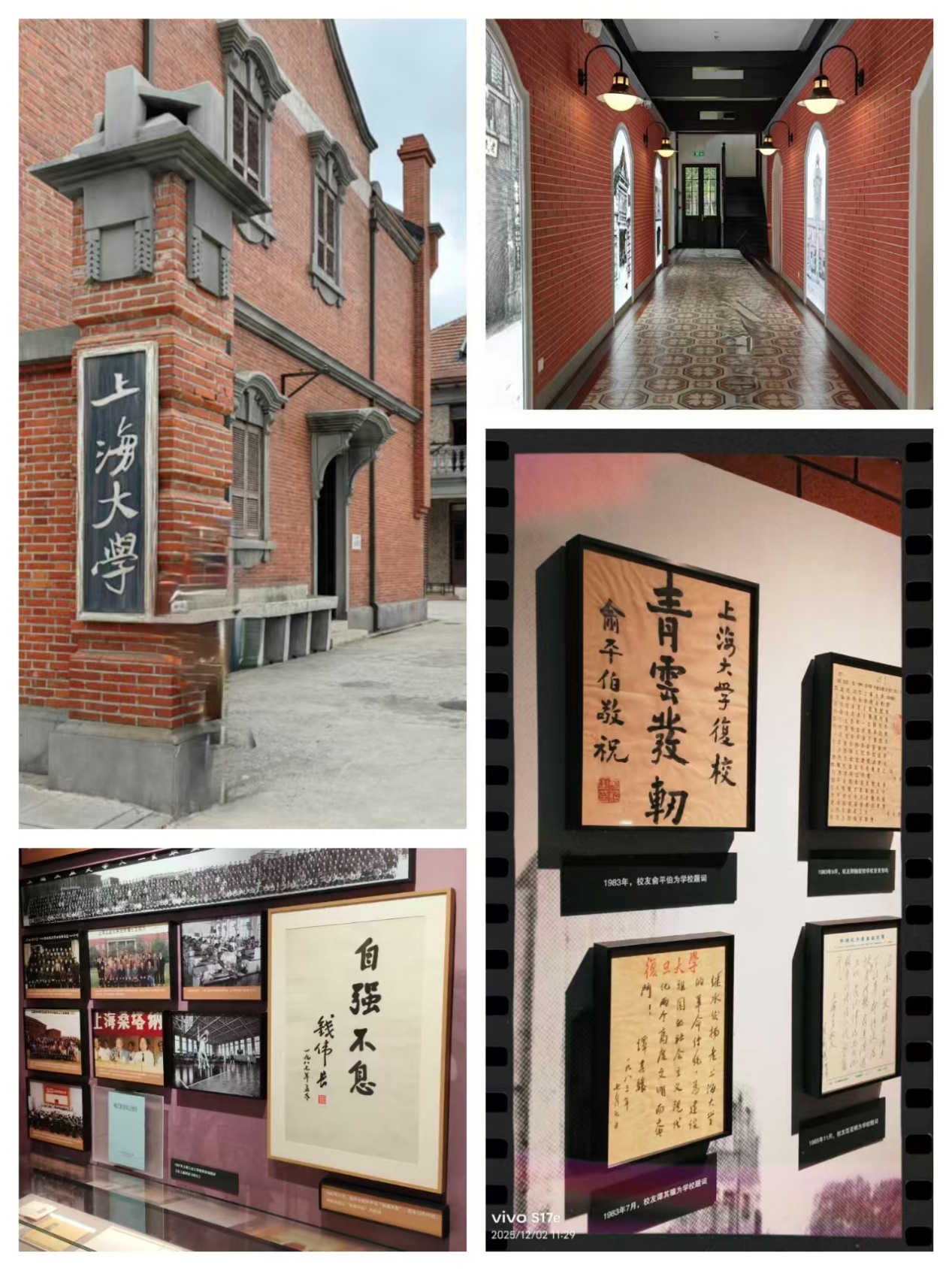 1765449784450005062.jpg 1765449784450005062.jpg